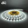 Buy cheap 8mm10mm 60leds 6500K White Electroplate SMD2835 Led Strip Light for Indoor Decoration from wholesalers
