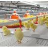Buy cheap H Type Chicken Layer Cage Hot Dip Galvanized Steel 3 Tier Poultry Cage from wholesalers