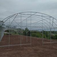 Buy cheap PE Tunnel Single Span Greenhouse Hot Galvanized Steel Transparent Color product