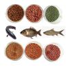Buy cheap Stainless Steel Automatic Pet Food Fish Feed Pellet Making Processing Production Line from wholesalers