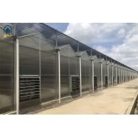 Buy cheap Indoor Farming Polycarbonate Green House For Fast Growing Crops product