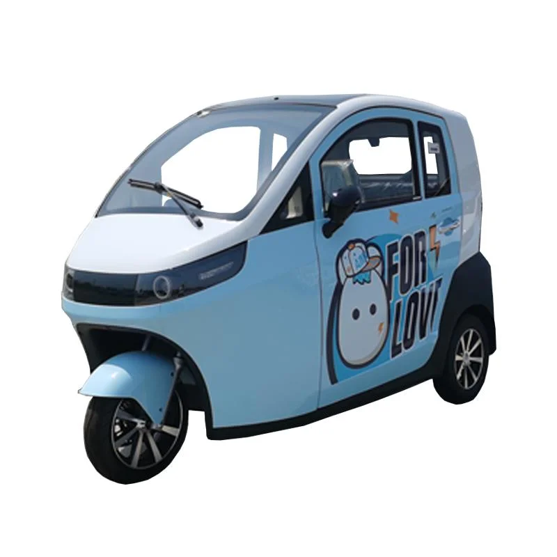 Raysince Latest Model 3-Wheel Electric Vehicle Hot Sales Electric Car with EEC