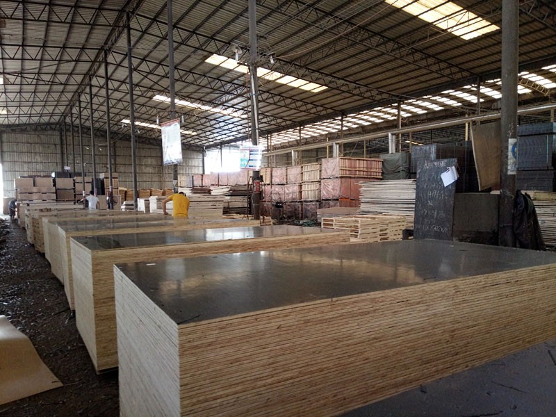 Finger Jointed Core Poplar 20mm Film Faced Plywood