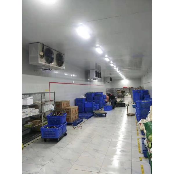 Copeland Compressor Cold Fish Storage Freezer Cold Room Refrigeration Unit