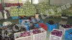 PLC Controlled Industrial Water Chiller for Long-Term Vegetable Preservation and