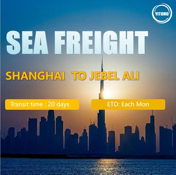 Buy cheap Sea Freight Professional Cheap Container Shipping Agent Service China To Worldwide from wholesalers