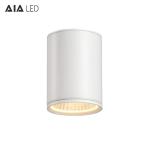 IP65 waterproof circular TRIAC dimmable 40W COB LED ceiling down lamp&outdoor