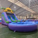 Commercial Waterslide Grade Full PVC Double Lane Inflatable Water Slide With