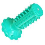Professional Manufacturer Supply Classical Tpr Dog Squeaky Sounding Toothbrush