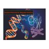 Buy cheap 34 Reports Quantum Health Test Machine from wholesalers