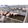 Buy cheap 304 Stainless Steel Piglet Feeder Piggery Equipment For Livestock Piglet from wholesalers