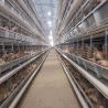 Buy cheap 3 Tiers 4 Tiers Layer Chicken Egg Battery Cages For Farm 384 Birds / Set from wholesalers