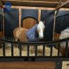 Buy cheap Easy Maintenance Horse Stall For Farm Sturdy Construction from wholesalers
