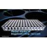 Buy cheap PET Plastic Vegetable Plant Grow Seedling Bed Trays Nursery Plug Tray,128 holes seedling starter trays, greenhouse grows from wholesalers