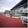 Buy cheap China Factory Direct Sales Sbr Rubber Tiles Mulch Rubber Mats Outdoor Rubber Tiles Floors For Equine from wholesalers