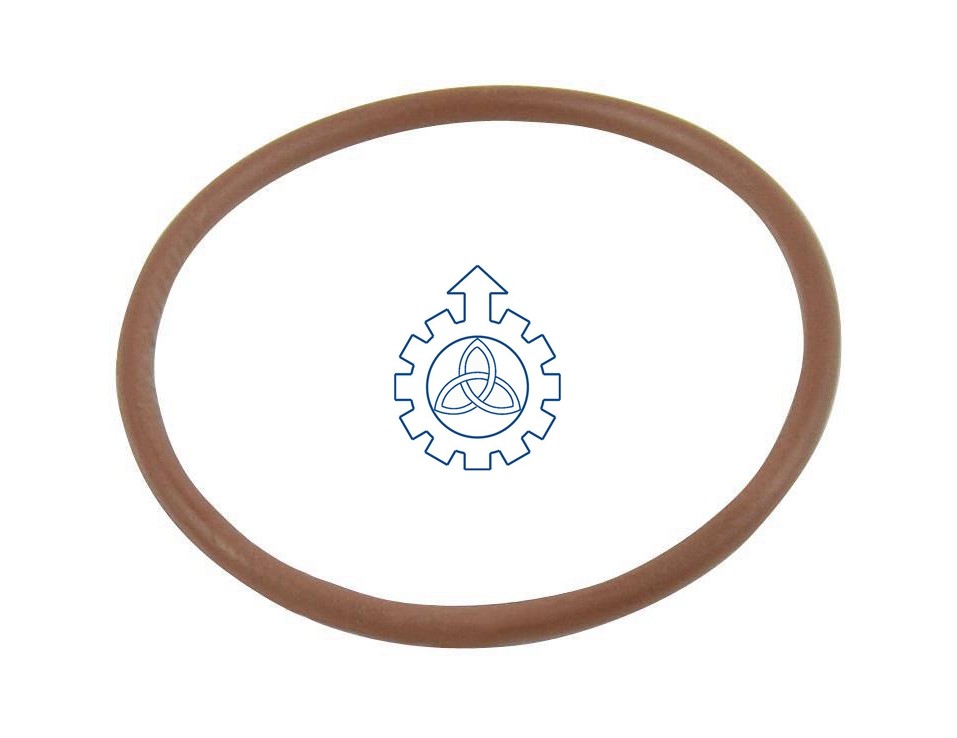 O-ring 17279081