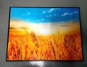 Buy cheap DIY Large Acrylic Picture Frames , Acrylic Picture Frames Wall Mount Environmental Friendly from wholesalers