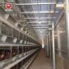 Buy cheap Galvanized Poultry Broiler Cage Laminated Multi Level Prefabricated from wholesalers