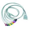 Buy cheap Compatible for PH Telemetry Holter ECG 10Lead ECG Cable Holter IEC Snap from wholesalers