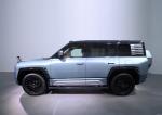 Automotive 4 Wheels Adult Personal 2WD BYD EV Car Yangwang U8 Hybrid SUV New Car