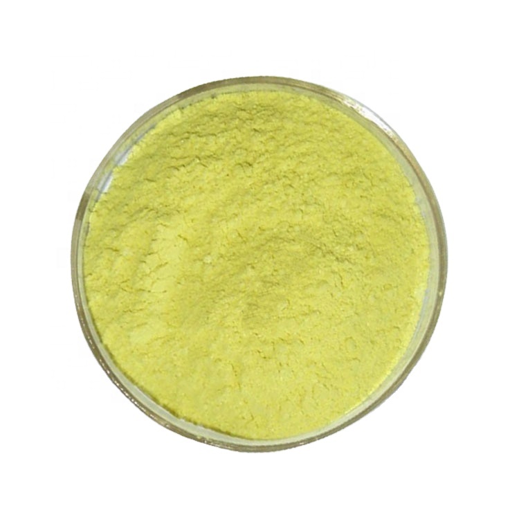 Natural Sophora Japonica Plant Extract Powder 99% Quercetin Dihydrate