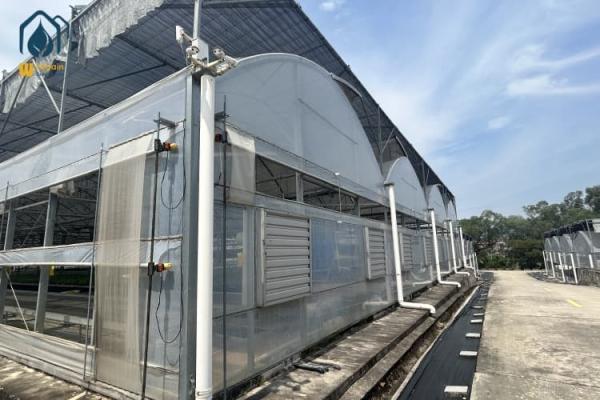 Buy cheap Multi Span Cultivation Hydroponic System Greenhouse For Year Round Farming from wholesalers