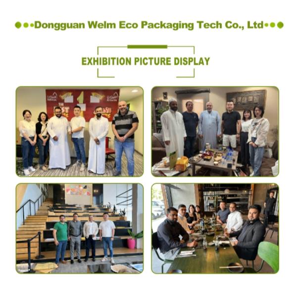 Biodegradable Burger Hamburger French Fries Boxes Package Customized Shape