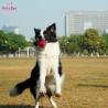 Buy cheap Lightweight Red rubber 81x62mm Dog Fetch Ball from wholesalers