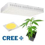 High PAR Output Full Spectrum Cree Led Grow Lights / Led Grow Panel Light 600W