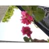 Buy cheap Decorative Mirror Stainless Steel Panel Suppliers China Foshan Manufacturer from wholesalers