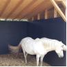 Buy cheap 120cm X 90cm Equestrian Stable Wall Mats Rubber Lock Horse Stall Pad from wholesalers