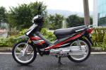 4 Stroke CUB Motorcycle Single Cylinder 110cc Off Road Gas Scooters Motorbikes