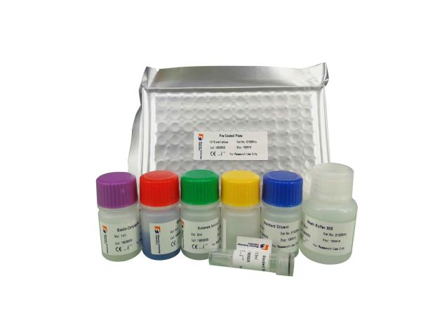Buy cheap 96 Wells 48 Wells Mouse Strong Specificity Cathelicidin Antimicrobial Peptide ELISA Kit from wholesalers