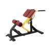 Buy cheap Pro Commercial Gym Rack And Fitness Equipment Roman Ab Exercise Chair from wholesalers