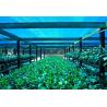 Buy cheap Greenhouse Shade Net ，Agricultural Shade Cloth For Flower Farm from wholesalers