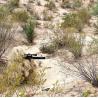 Buy cheap 3x 4x Army Ghillie Suit Camouflage Outdoor Ultralight Tactical Military from wholesalers