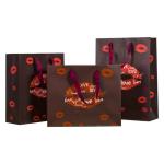 Customized Luxury Fancy Craft Gift Paper Bag with Logo Print and Gravure