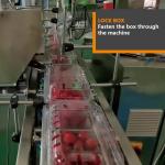 Linear Automatic Filling Machine Cherry Blueberry Strawberry Tray Box Packaging
