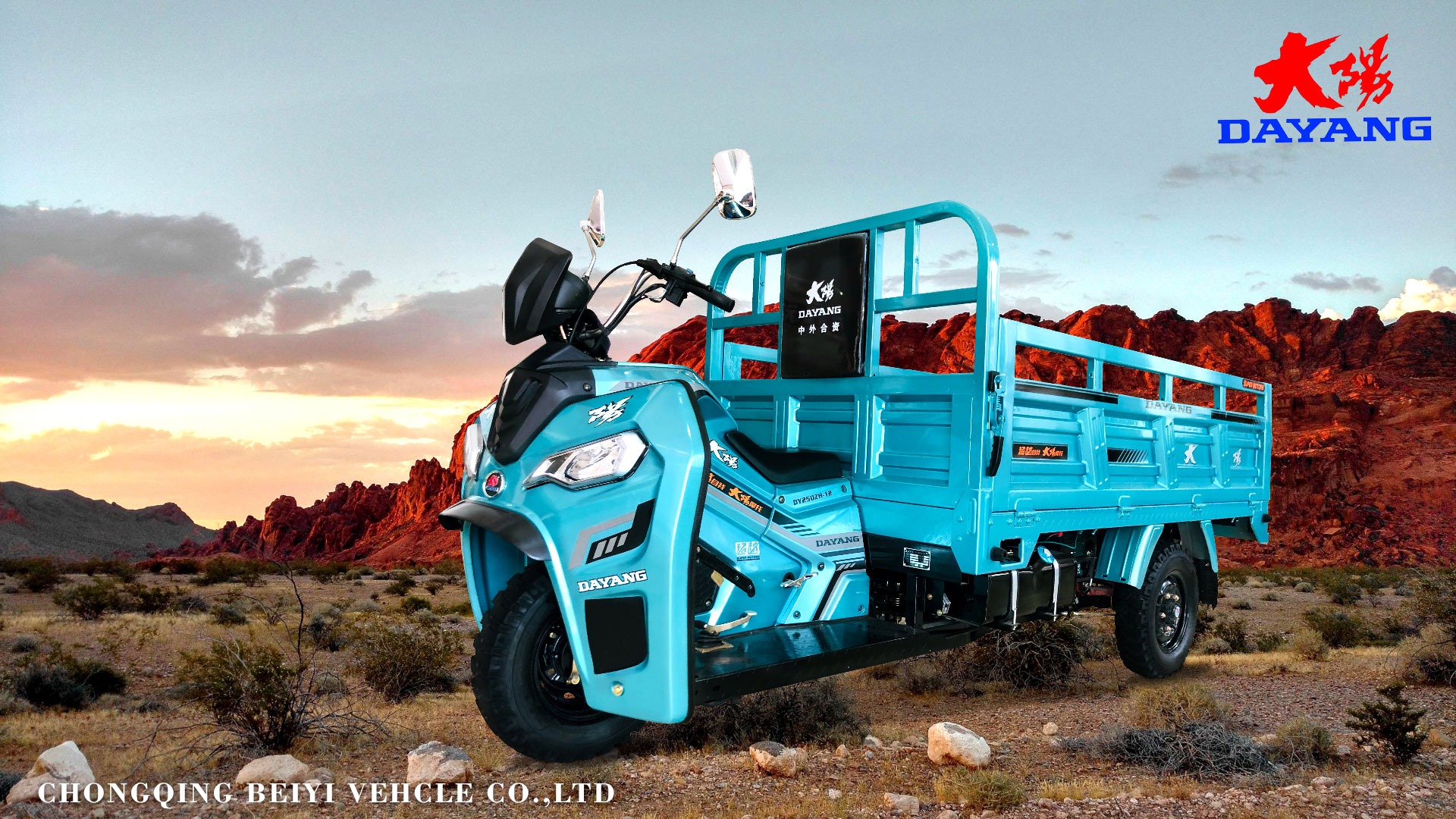 250CC Motorized Cargo Tricycle with 3 Wheel Motorcycle Trike Gasoline from Chinese