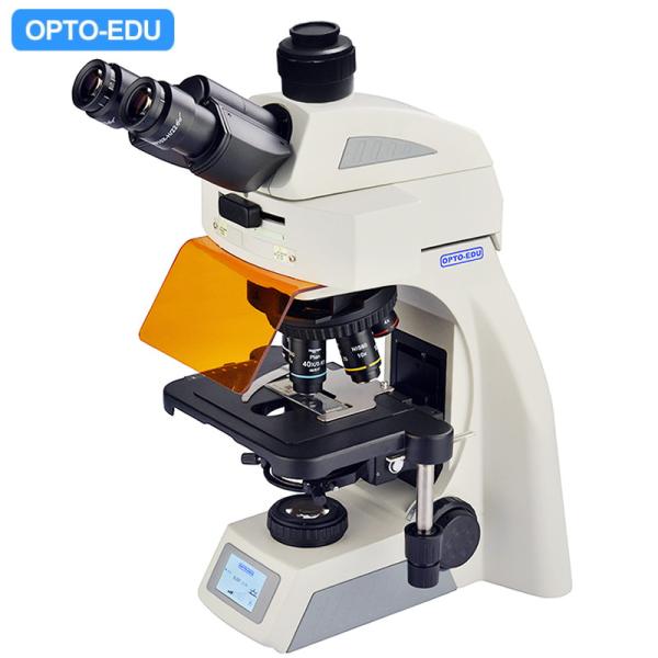 Buy cheap OPTO EDU A16.1062 Infinity Binocular Trinocular Led Fluorescent Microscope BG from wholesalers