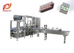1000boxes/H 10Kw Coffee Capsule Carton Packing Machine