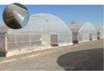 Film Cover 50x8m Single Span Type Agricultural Tunnel Greenhouse with 3.5-5M