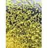 Buy cheap Nylon Sand Plastic Blasting Media Polymide various colors from wholesalers