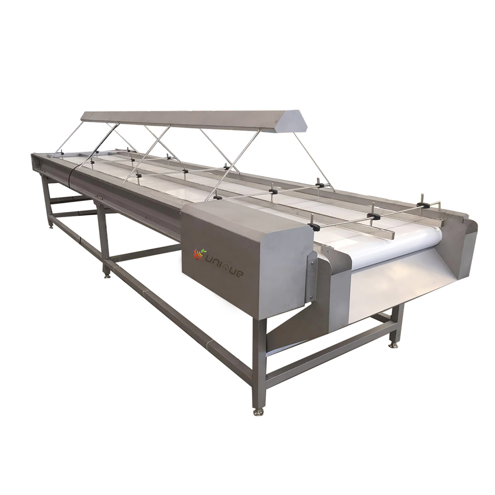 Lamp Sorting Conveyor For Fruit Orange Onion Apple Waste Selection
