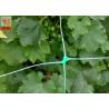 Buy cheap Polyethylene Agricultural Climbing Plant Support Mesh Green Color Lightweight from wholesalers