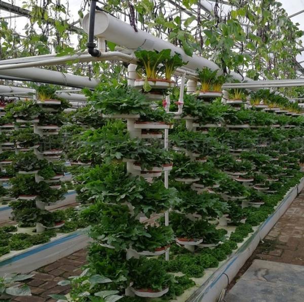 Buy cheap Po/PE Film Hydroponic Greenhouse For Vegetables Double Layer from wholesalers