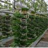 Buy cheap Roofing Shape Arched Roof Multi-Span Greenhouse for Temperature Controlled Hydroponics from wholesalers