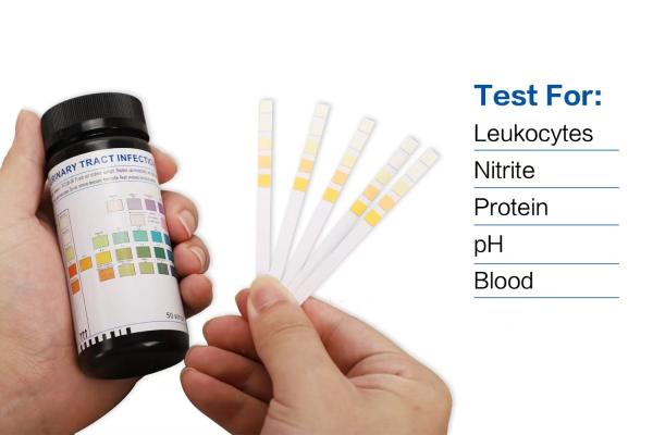 Buy cheap Glucose Protein Urine Ph Strips MSDS Approved from wholesalers