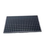 200 Holes Nursery Tray Plastic Seedling Tray Mango Plant Tomato Cell Trays