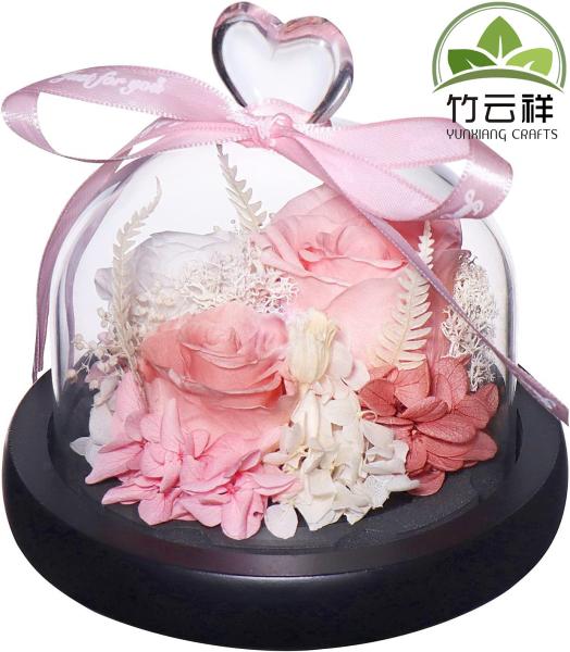 Buy cheap Customized Wooden Base Eternal Rose Preserved Rose in Beautiful Creative Design Strong Glass Dome Gift from wholesalers